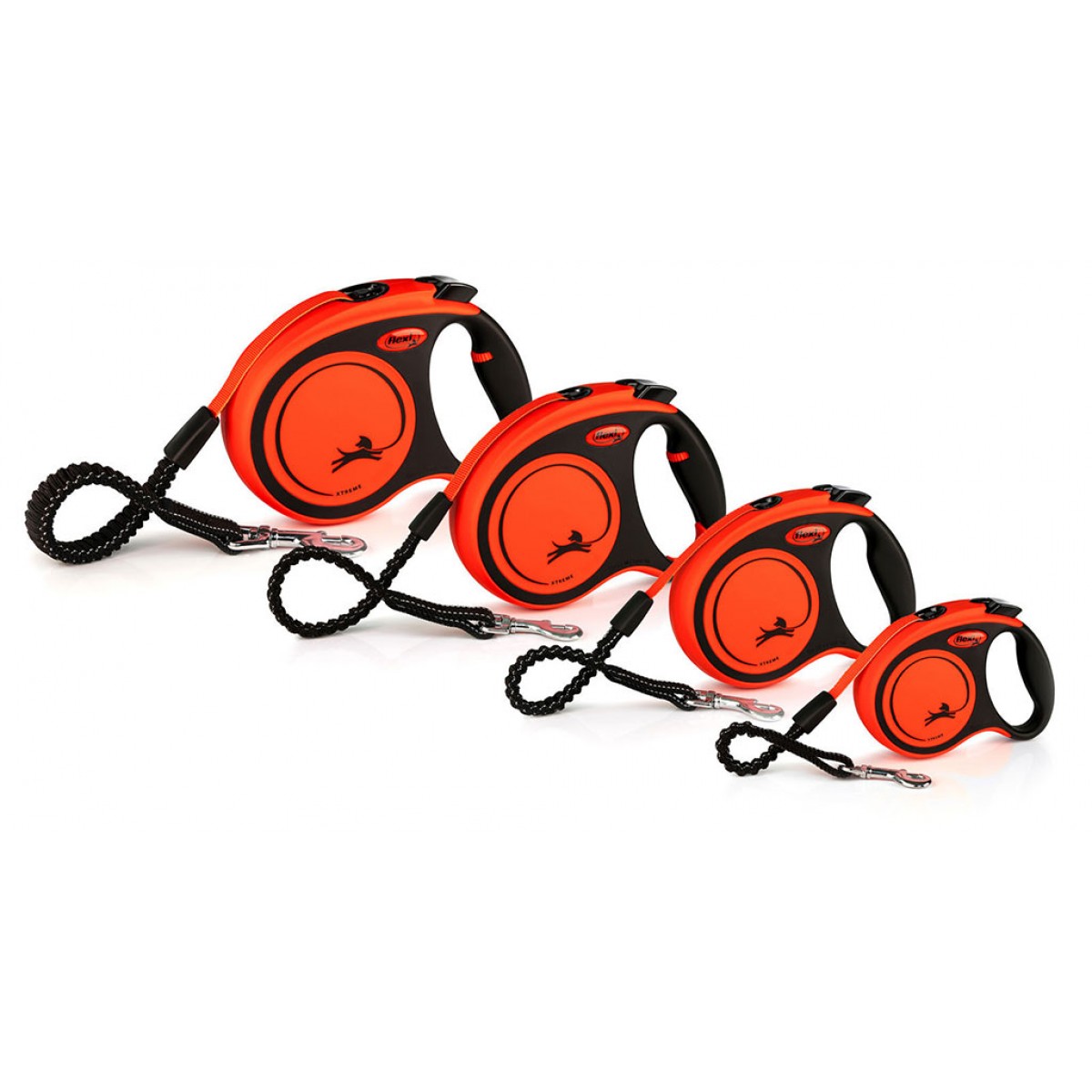 Flexi Xtreme Leash | Conor's Adventure